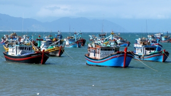 Thủ tướng: tiếp tục tập trung cao độ, quyết liệt thực hiện các nhiệm vụ IUU