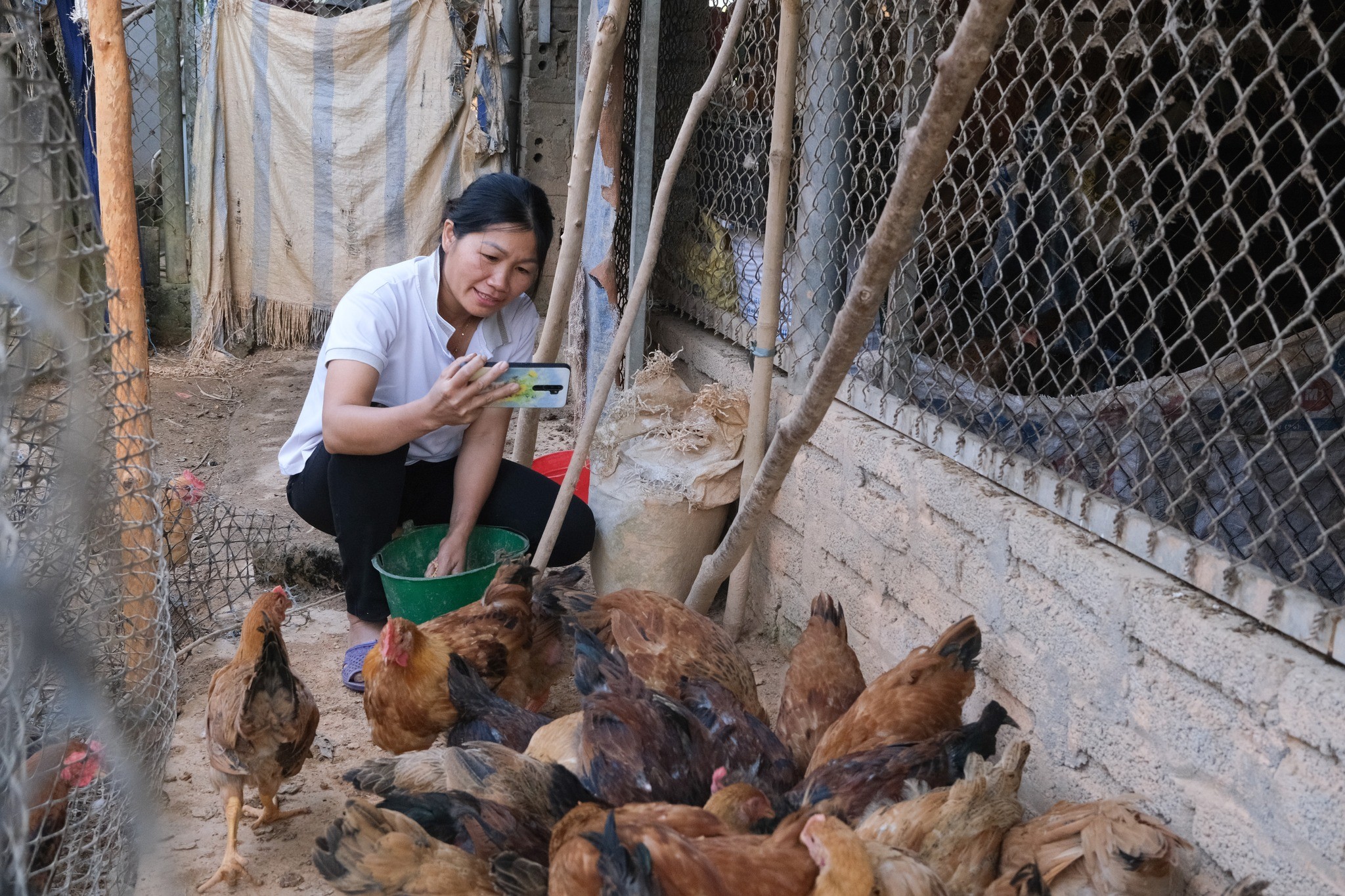 Chị Dung chăm sóc đàn gia cầm tại nhà. (Ảnh: Oxfam tại Việt Nam)