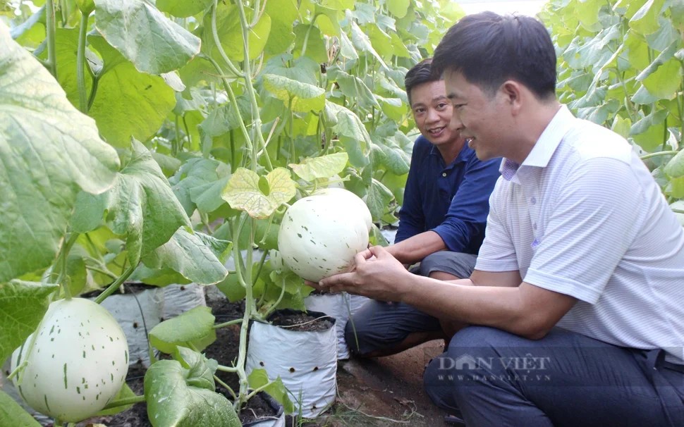 Chủ tịch Hội Nông dân Việt Nam Lương Quốc Đoàn: Phát huy vai trò, sức sáng tạo của nông dân trong kỷ nguyên mới đất nước Chủ tịch Hội Nông dân Việt Nam Lương Quốc Đoàn: Phát huy vai trò, sức sáng tạo của nông dân trong kỷ nguyên mới đất nước