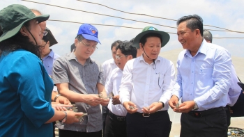 Chủ tịch Hội Nông dân Việt Nam Lương Quốc Đoàn: Phát huy vai trò, sức sáng tạo của nông dân trong kỷ nguyên mới đất nước