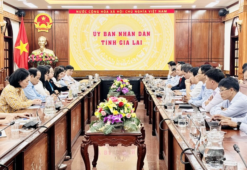 UNICEF sẽ tiếp tục các hoạt động hỗ trợ Gia Lai trong năm 2026