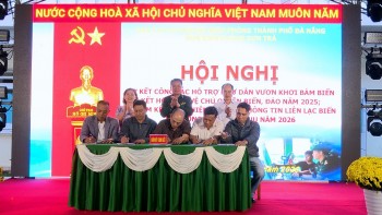 Gần 500 tàu cá Đà Nẵng ký cam kết chống khai thác IUU