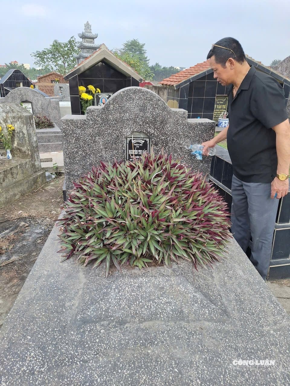 Mời ông bà về ăn Tết Mời ông bà về ăn Tết