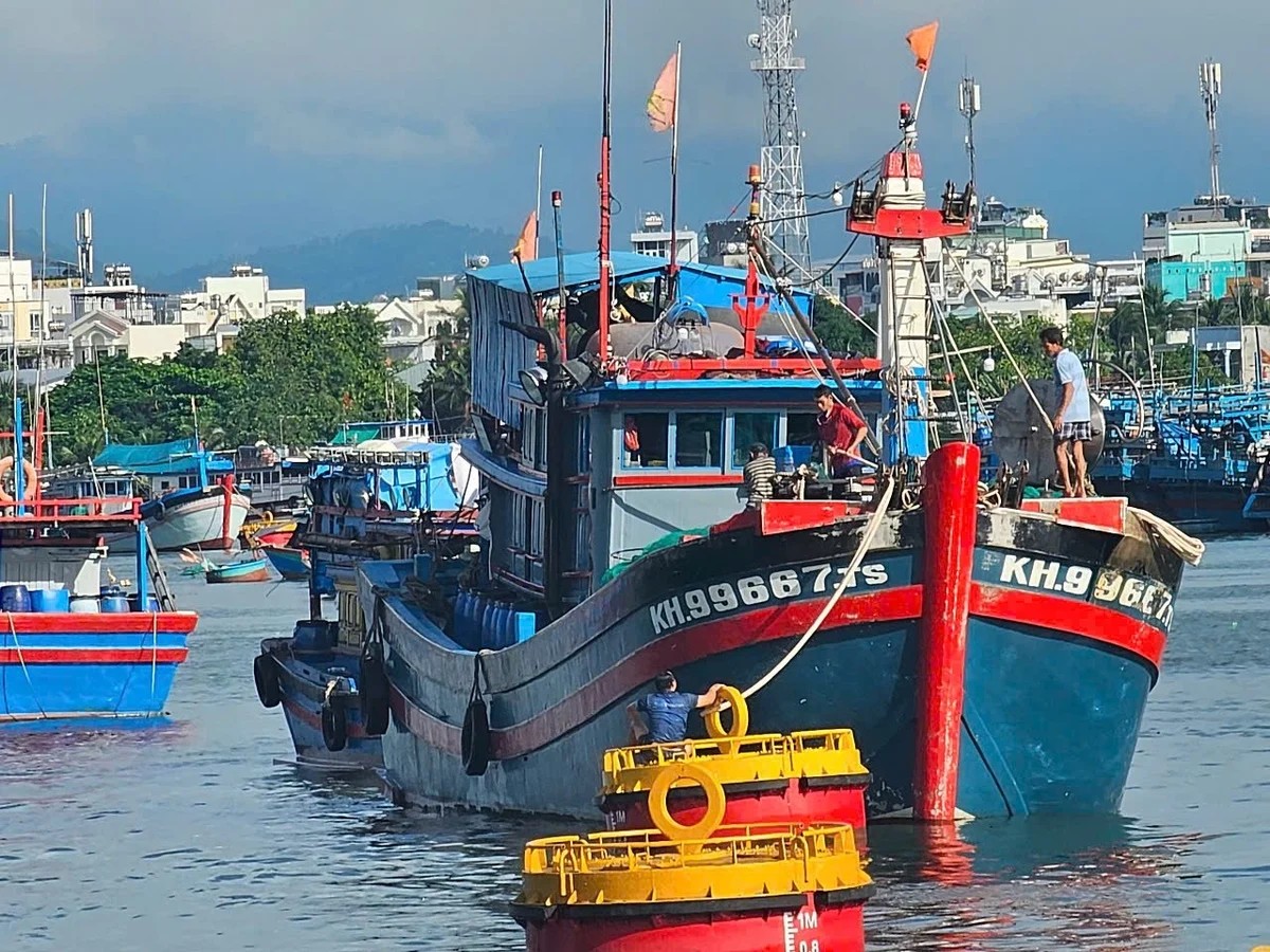 Tàu chuẩn bị ra khơi tại cầu cảng Hòn Rớ (thành phố Nha Trang, Khánh Hòa). Tàu chuẩn bị ra khơi tại cầu cảng Hòn Rớ (thành phố Nha Trang, Khánh Hòa).