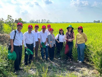Dự án GoRice do Chính phủ Canada viện trợ: nâng cao phúc lợi cho nông dân sản xuất lúa gạo tại 7 xã ở Cần Thơ