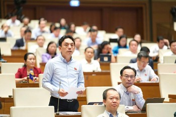 Hoàn thiện khung pháp lý cho cơ quan đại diện Việt Nam ở nước ngoài
