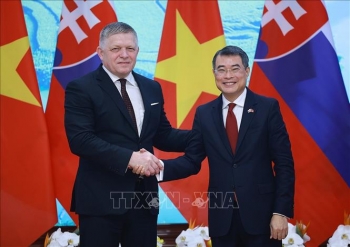 Nâng cấp quan hệ Việt Nam – Slovakia lên Đối tác chiến lược