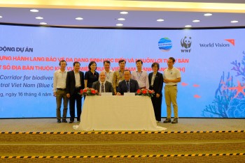 Khởi động dự án "Hành lang Xanh" 4,4 triệu Euro bảo tồn biển miền Trung