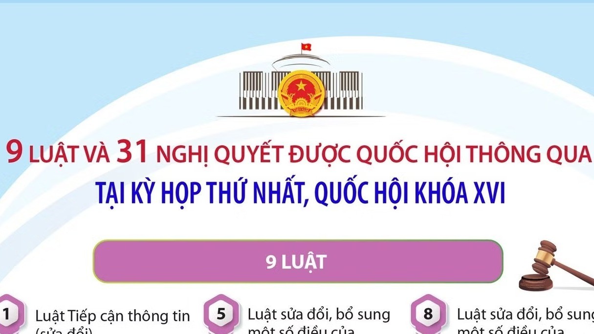 [Infographic] 9 luật và 31 nghị quyết được thông qua tại Kỳ họp thứ nhất, Quốc hội khóa XVI