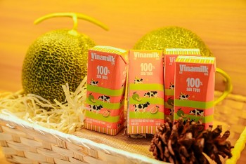 Vinamilk báo doanh thu quý 1 năm 2026 tăng 24,6% so với cùng kỳ