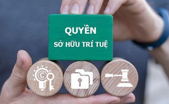 Thực hiện quyết liệt các giải pháp đấu tranh, ngăn chặn, xử lý hành vi xâm phạm quyền sở hữu trí tuệ