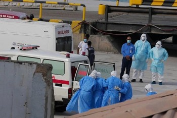 Việt Nam chưa ghi nhận ca nhiễm virus Hanta chủng Andes