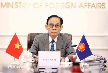Việt Nam cam kết đóng góp tích cực cho Hội nghị Cấp cao kỷ niệm ASEAN - Nga