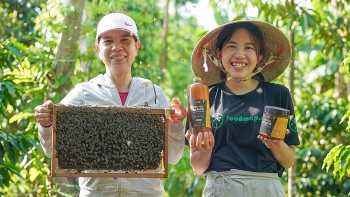 Australia cam kết 10 triệu USD hỗ trợ doanh nghiệp khí hậu tại Việt Nam