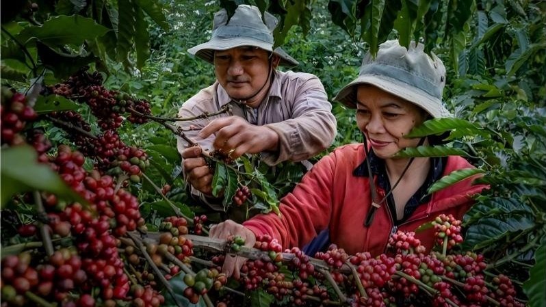 Buôn Ma Thuột vào top điểm đến ẩm thực thế giới năm 2026