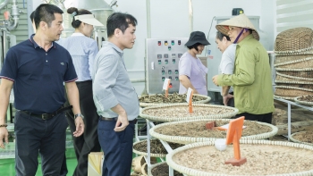 GENECELL triển khai đề tài chiết xuất hoạt chất dược liệu phục vụ sản xuất mỹ phẩm