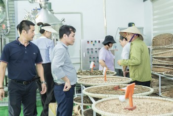 GENECELL triển khai đề tài chiết xuất hoạt chất dược liệu phục vụ sản xuất mỹ phẩm
