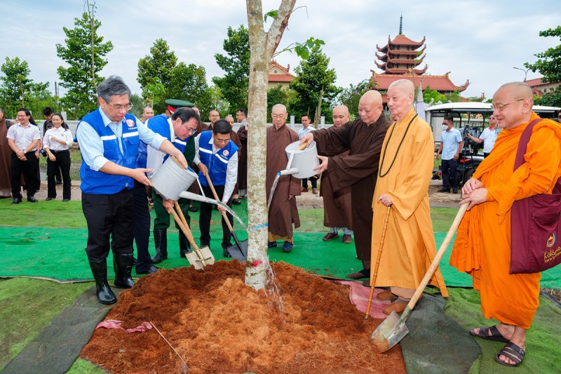 TP.Hồ Chí Minh: Trồng 600 cây tại công trình TP.Hồ Chí Minh: Trồng 600 cây tại công trình