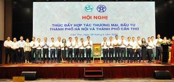 Hà Nội - Cần Thơ thúc đẩy hợp tác thương mại, đầu tư, mở rộng không gian phát triển liên vùng