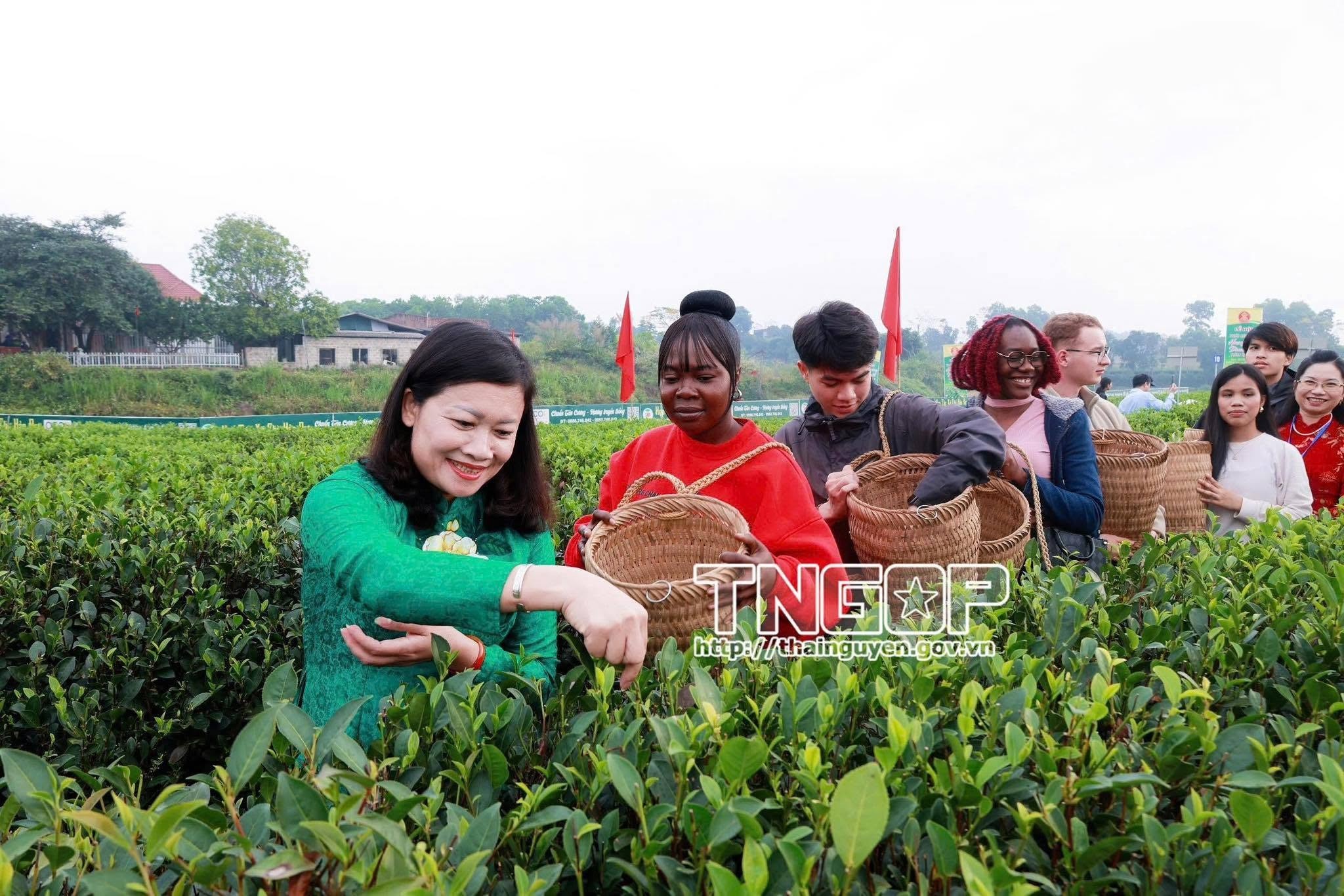 Festival Trà Quốc tế - Thái Nguyên năm 2026: Mở ra khát vọng đưa lá chè trở thành thương hiệu tỷ đô Festival Trà Quốc tế - Thái Nguyên năm 2026: Mở ra khát vọng đưa lá chè trở thành thương hiệu tỷ đô