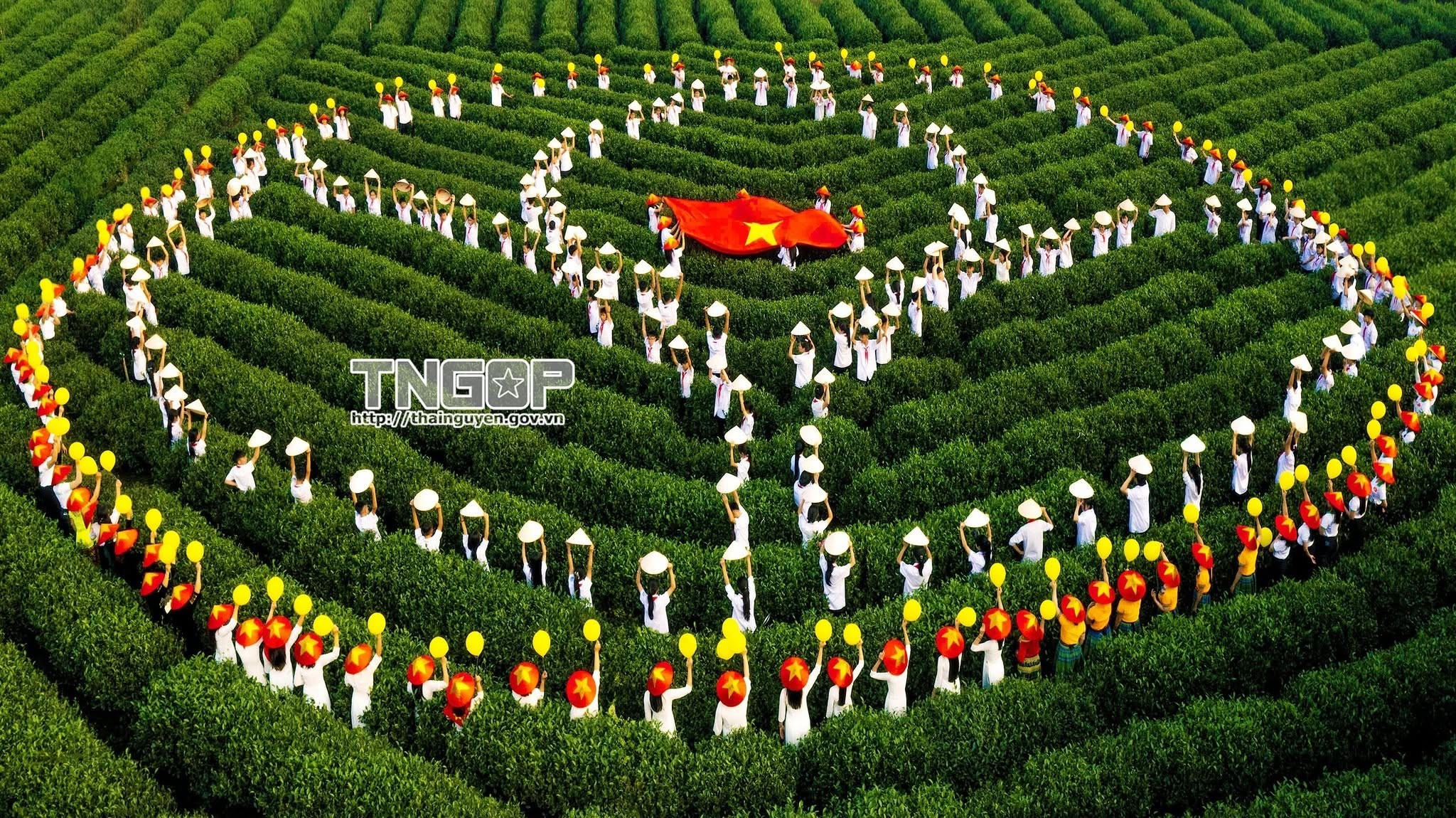 Festival Trà Quốc tế - Thái Nguyên năm 2026: Mở ra khát vọng đưa lá chè trở thành thương hiệu tỷ đô Festival Trà Quốc tế - Thái Nguyên năm 2026: Mở ra khát vọng đưa lá chè trở thành thương hiệu tỷ đô