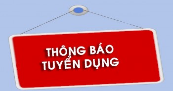 Liên hiệp các tổ chức hữu nghị Việt Nam tuyển dụng 30 công chức làm việc tại Hà Nội