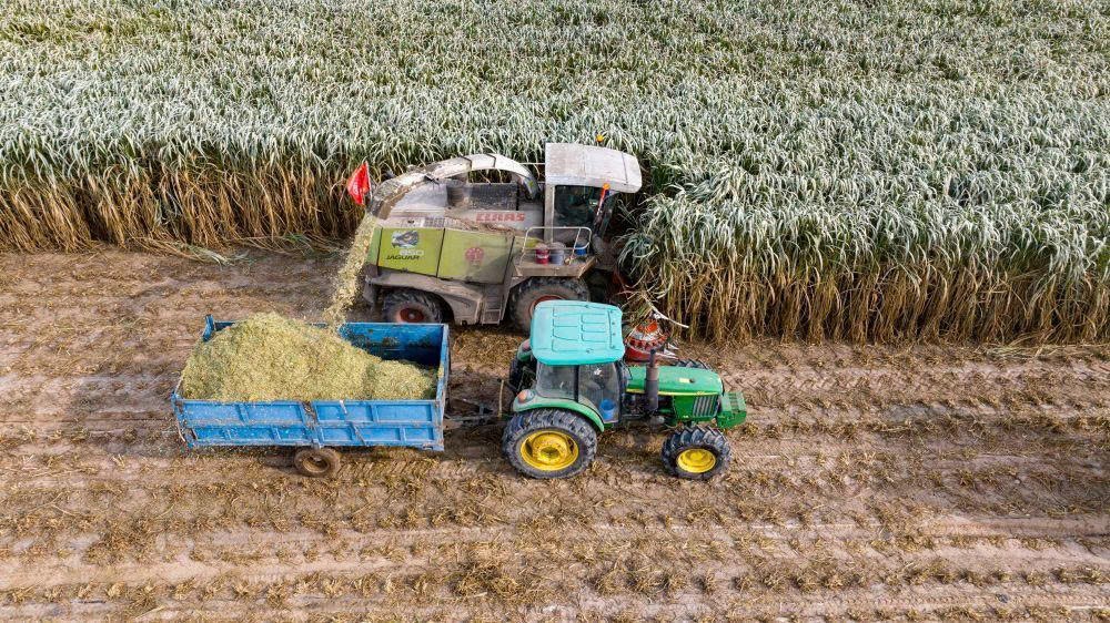 Hợp tác Phúc Kiến - Ninh Hạ: Câu chuyện sinh động về hợp tác xóa đói giảm nghèo giữa miền Đông và miền Tây Trung Quốc