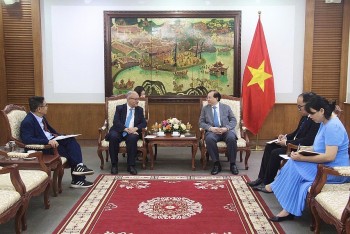 Thúc đẩy hợp tác văn hóa tăng cường gắn kết nhân dân giữa Việt Nam - Đức