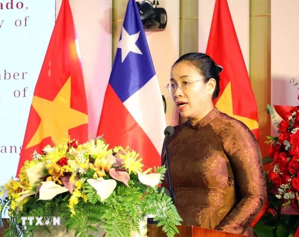 Phó Chủ tịch Ủy ban Nhân dân thành phố Đà Nẵng Nguyễn Thị Anh Thi phát biểu tại lễ kỷ niệm. (Ảnh: TTXVN) Phó Chủ tịch Ủy ban Nhân dân thành phố Đà Nẵng Nguyễn Thị Anh Thi phát biểu tại lễ kỷ niệm. (Ảnh: TTXVN)
