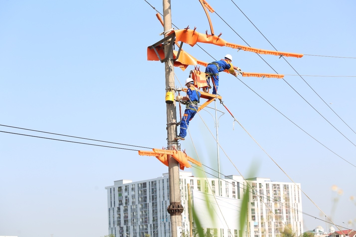 Giữ nhịp dòng điện mùa nắng nóng: Từ bản lĩnh người thợ Hotline đến tầm nhìn quản trị của EVNNPC Giữ nhịp dòng điện mùa nắng nóng: Từ bản lĩnh người thợ Hotline đến tầm nhìn quản trị của EVNNPC
